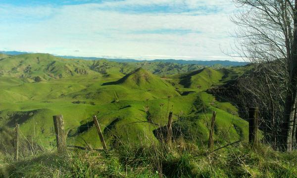 Inner Hawkes Bay